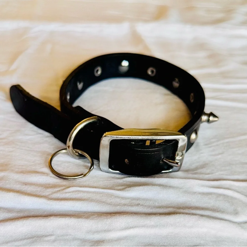 Spiked Black Leather Silver Studded Dog Collar 1” Wide 17.5” Long